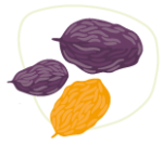 ilustration-raisins